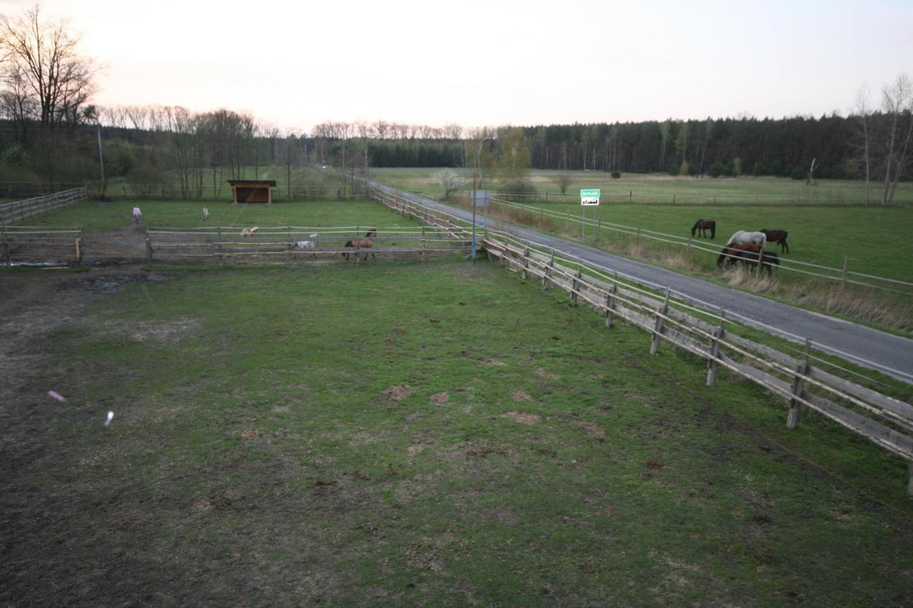 Lesniczowka Grabczok Apartment Luaran gambar